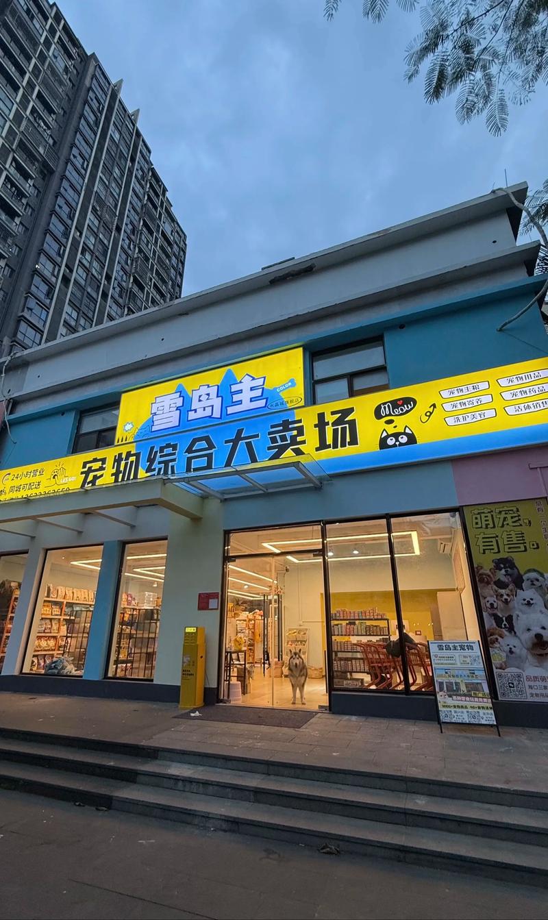 海南百货零售市场新动态：乘风破浪的消费力量